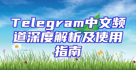 Telegram中文频道深度解析及使用指南