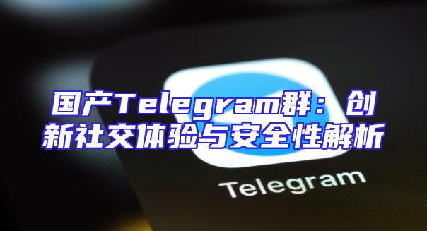 国产Telegram群：创新社交体验与安全性解析