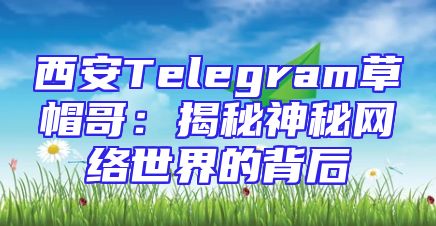 西安Telegram草帽哥：揭秘神秘网络世界的背后