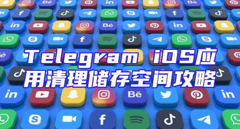 Telegram iOS应用清理储存空间攻略