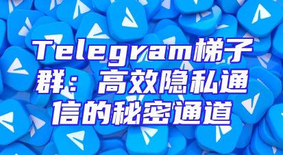 Telegram梯子群：高效隐私通信的秘密通道