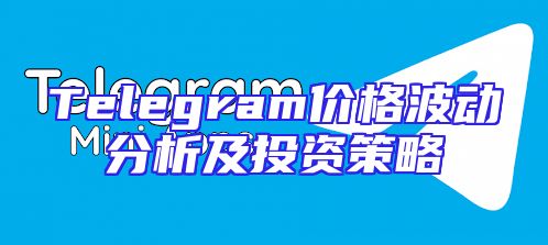 Telegram价格波动分析及投资策略