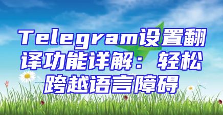 Telegram设置翻译功能详解：轻松跨越语言障碍