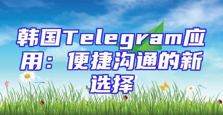 韩国Telegram应用：便捷沟通的新选择