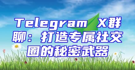 Telegram X群聊：打造专属社交圈的秘密武器