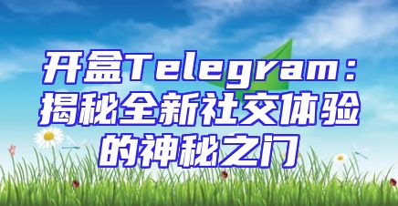 开盒Telegram：揭秘全新社交体验的神秘之门