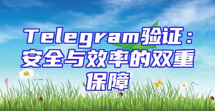 Telegram验证：安全与效率的双重保障