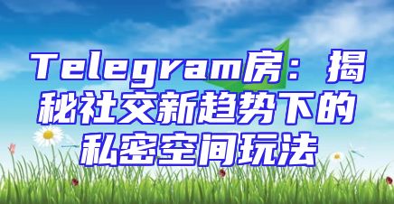 Telegram房：揭秘社交新趋势下的私密空间玩法