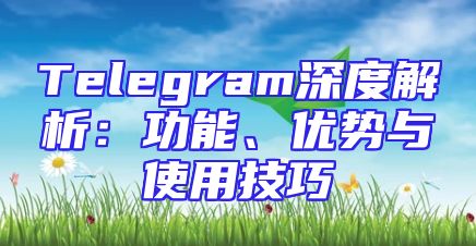Telegram深度解析：功能、优势与使用技巧