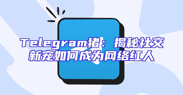 Telegram猪：揭秘社交新宠如何成为网络红人