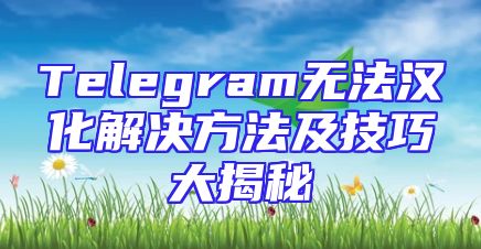 Telegram无法汉化解决方法及技巧大揭秘