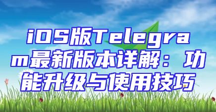 iOS版Telegram最新版本详解：功能升级与使用技巧
