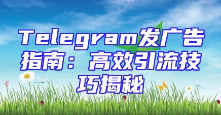 Telegram发广告指南：高效引流技巧揭秘