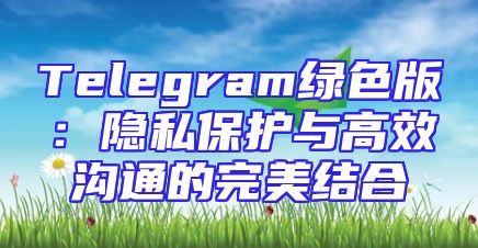 Telegram绿色版：隐私保护与高效沟通的完美结合