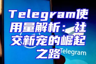 Telegram使用量解析：社交新宠的崛起之路