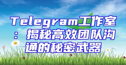 Telegram工作室：揭秘高效团队沟通的秘密武器