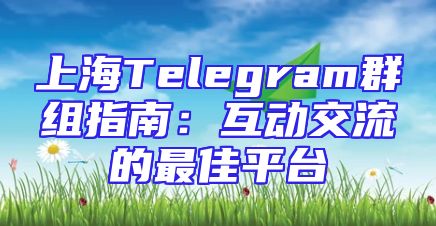 上海Telegram群组指南：互动交流的最佳平台