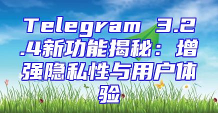 Telegram 3.2.4新功能揭秘：增强隐私性与用户体验