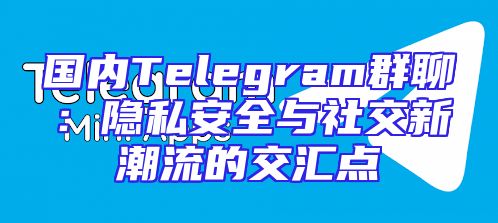国内Telegram群聊：隐私安全与社交新潮流的交汇点