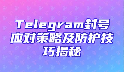 Telegram封号应对策略及防护技巧揭秘