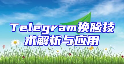 Telegram换脸技术解析与应用