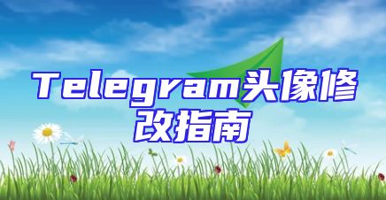 Telegram头像修改指南