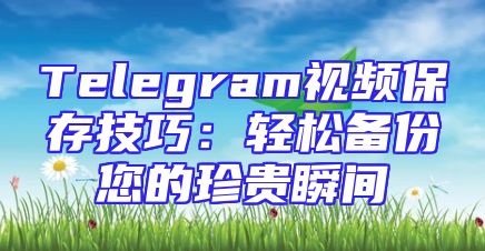 Telegram视频保存技巧：轻松备份您的珍贵瞬间