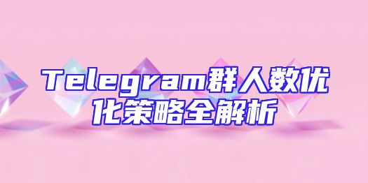 Telegram群人数优化策略全解析