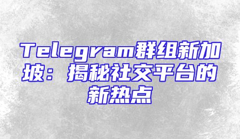 Telegram群组新加坡：揭秘社交平台的新热点