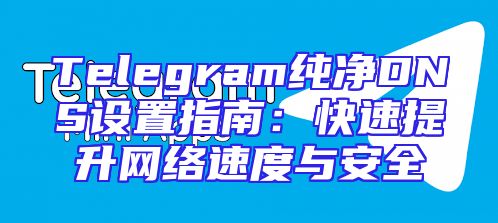 Telegram纯净DNS设置指南：快速提升网络速度与安全