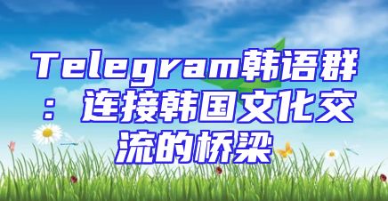 Telegram韩语群：连接韩国文化交流的桥梁