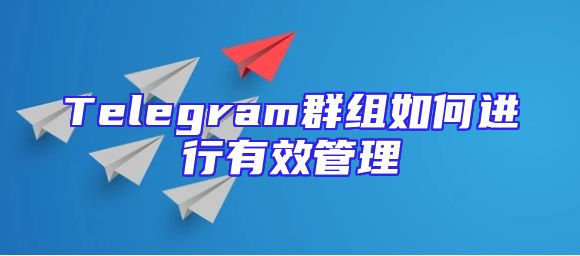Telegram群组如何进行有效管理