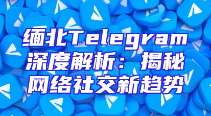 缅北Telegram深度解析：揭秘网络社交新趋势