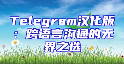 Telegram汉化版：跨语言沟通的无界之选