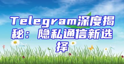 Telegram深度揭秘：隐私通信新选择