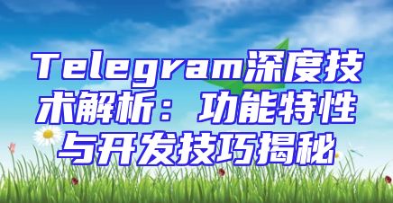 Telegram深度技术解析：功能特性与开发技巧揭秘