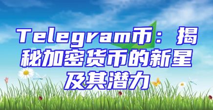 Telegram币：揭秘加密货币的新星及其潜力