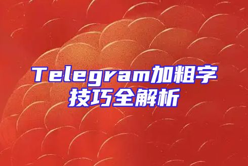 Telegram加粗字技巧全解析