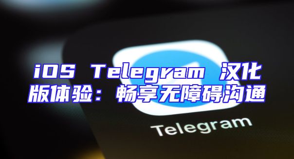 iOS Telegram 汉化版体验：畅享无障碍沟通
