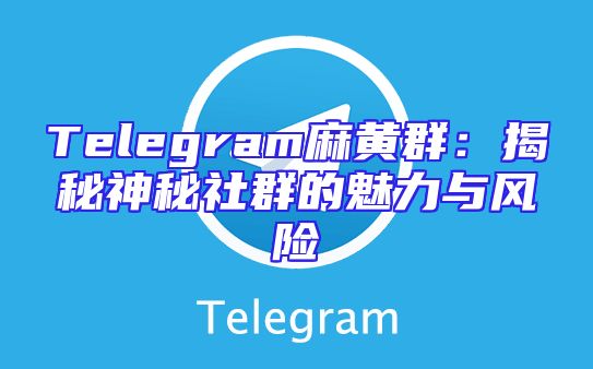 Telegram麻黄群：揭秘神秘社群的魅力与风险