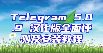 Telegram 5.0.9 汉化版全面评测及安装教程