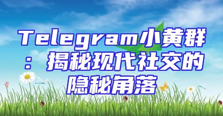 Telegram小黄群：揭秘现代社交的隐秘角落