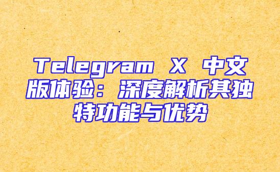 Telegram X 中文版体验：深度解析其独特功能与优势