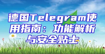 德国Telegram使用指南：功能解析与安全贴士