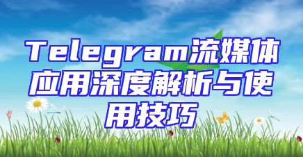 Telegram流媒体应用深度解析与使用技巧