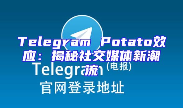 Telegram Potato效应：揭秘社交媒体新潮流