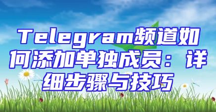 Telegram频道如何添加单独成员：详细步骤与技巧