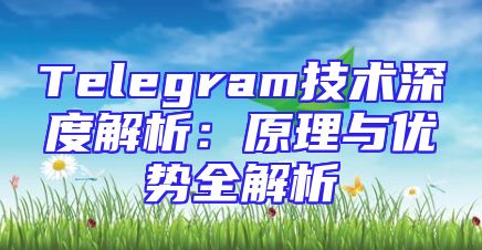 Telegram技术深度解析：原理与优势全解析