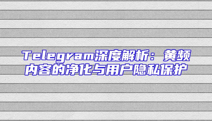 Telegram深度解析：黄频内容的净化与用户隐私保护