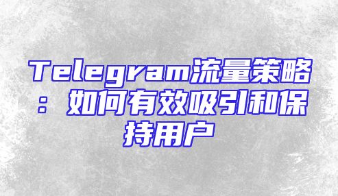 Telegram流量策略：如何有效吸引和保持用户
